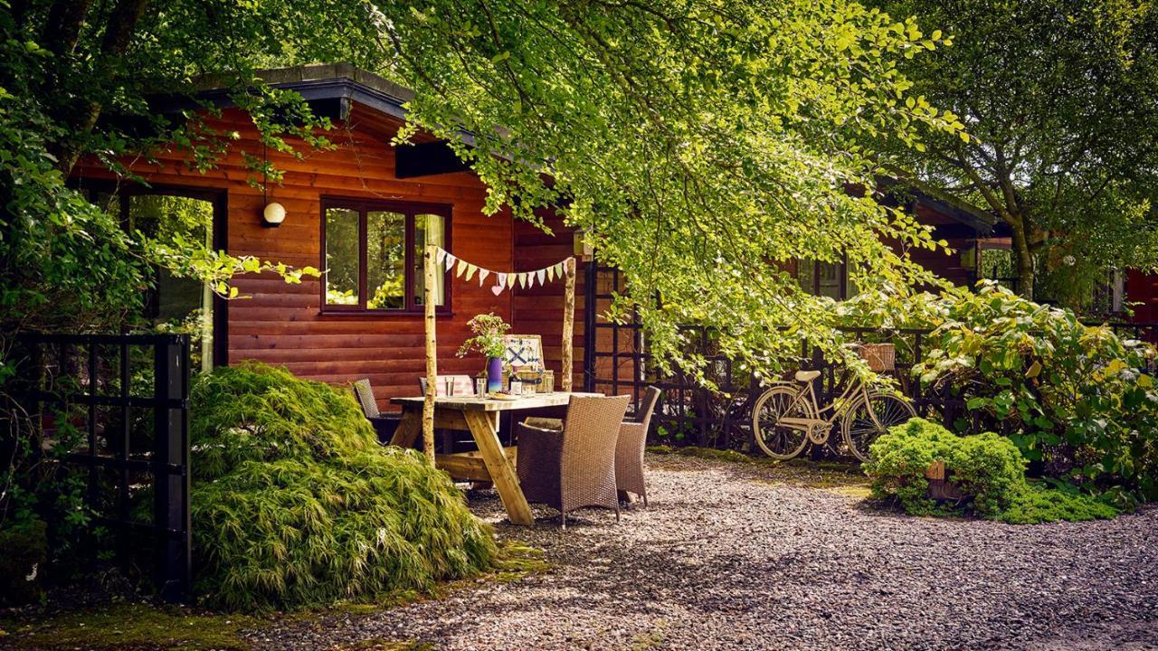 ホテル Lochend Chalets Port Of Menteith エクステリア 写真